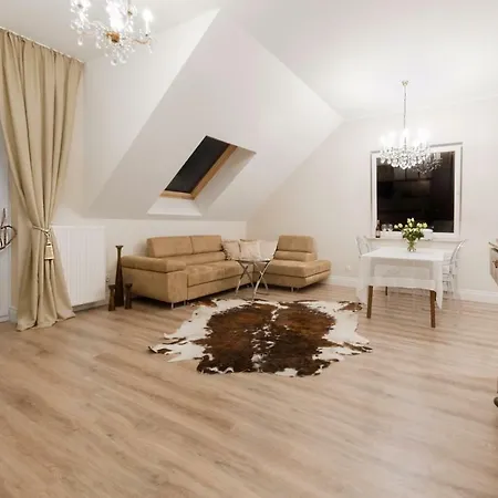 Apartament Deluxe Art Daire